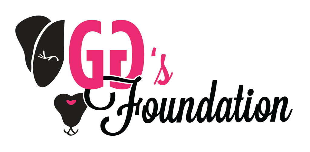 An Update on GG’s Foundation