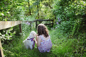 Essential Pet Safety in the Summer